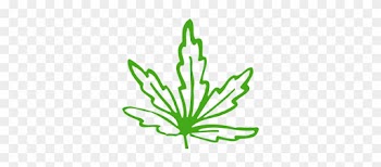 Pennsylvania Releases Medical Cannabis Permit Applications - Cannabis