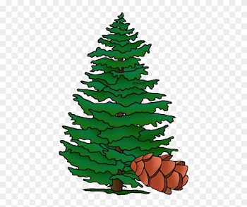 Pennsylvania State Tree Hemlock - Cartoon Hemlock Tree