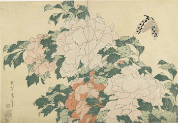 Peonies and Butterfly (ca.1833&ndash;1834) in high | Free Photo - rawpixel