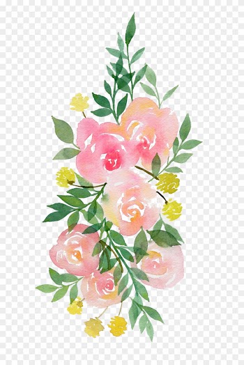 Peonies, Drawing, - Transparent Watercolor Flowers