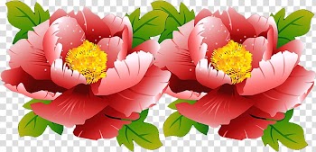 Peony Floral design Cut flowers Herbaceous plant Petal, peony transparent background PNG clipart