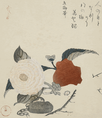 Peony Flower and a Metal | Free Photo Illustration - rawpixel