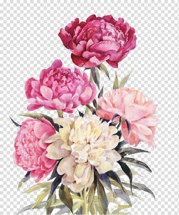 Peony Flower bouquet Illustration, Pink and red flowers, pink and white floral painting transparent background PNG clipart