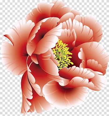 Peony Flower , Flower transparent background PNG clipart