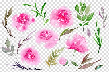 Peony Pink Watercolor painting , Peonies transparent background PNG clipart