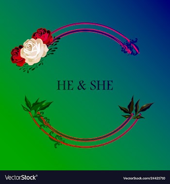 Peony rose ranunculus pink flowers and decorative vector image