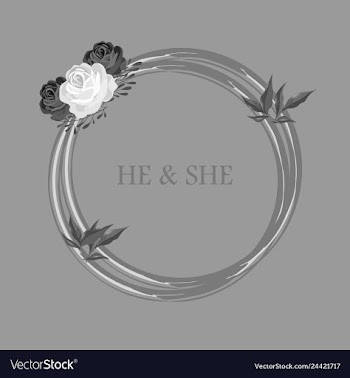 Peony rose ranunculus pink flowers and decorative vector image
