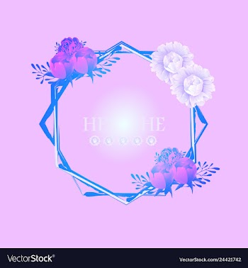 Peony rose ranunculus pink flowers and decorative vector image