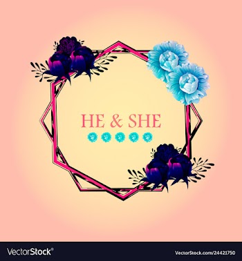 Peony rose ranunculus pink flowers and decorative vector image