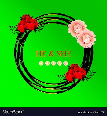 Peony rose ranunculus pink flowers and decorative vector image