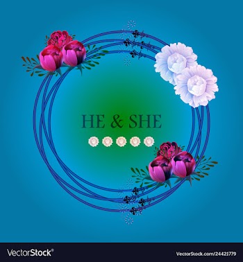 Peony rose ranunculus pink flowers and decorative vector image