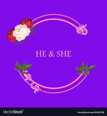 Peony rose ranunculus pink flowers and decorative vector image