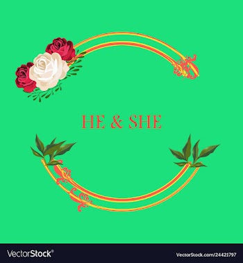 Peony rose ranunculus pink flowers and decorative vector image