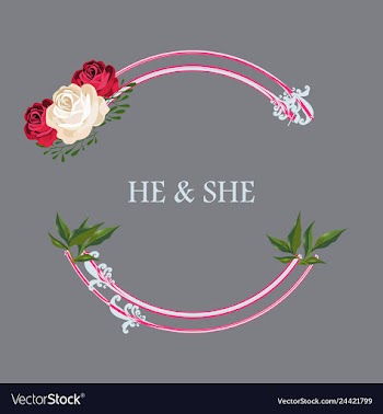 Peony rose ranunculus pink flowers and decorative vector image