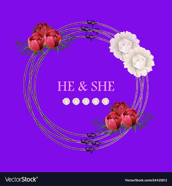 Peony rose ranunculus pink flowers and decorative vector image