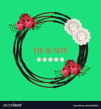 Peony rose ranunculus pink flowers and decorative vector image