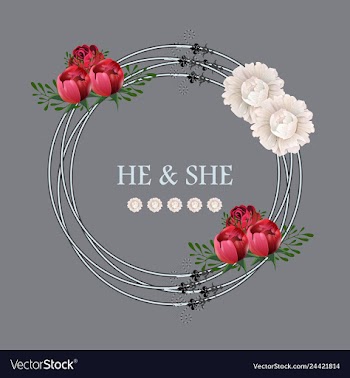 Peony rose ranunculus pink flowers and decorative vector image