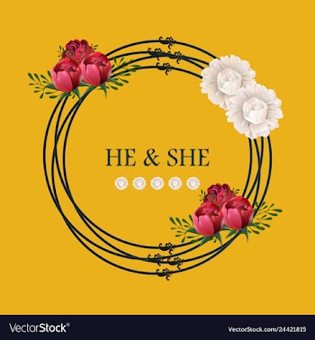 Peony rose ranunculus pink flowers and decorative vector image