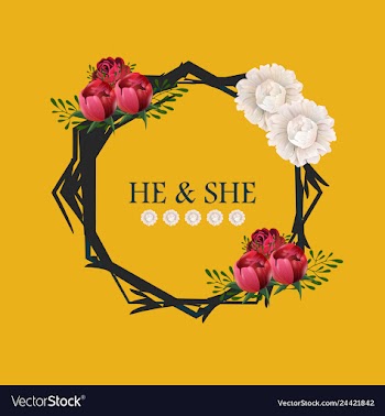 Peony rose ranunculus pink flowers and decorative vector image