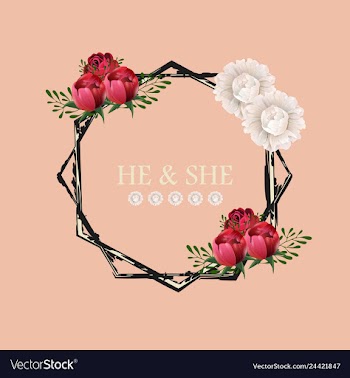 Peony rose ranunculus pink flowers and decorative vector image