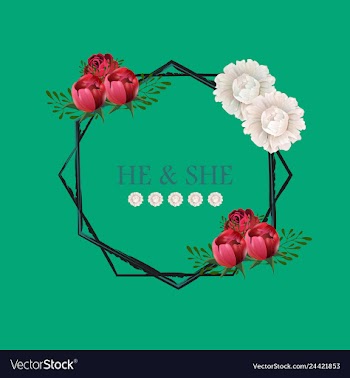 Peony rose ranunculus pink flowers and decorative vector image