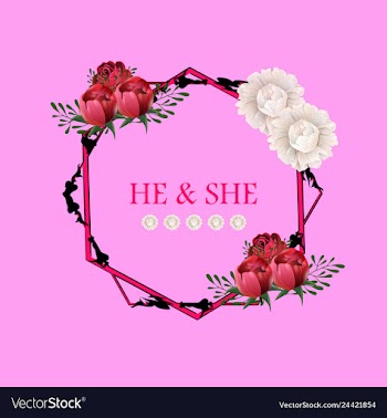 Peony rose ranunculus pink flowers and decorative vector image