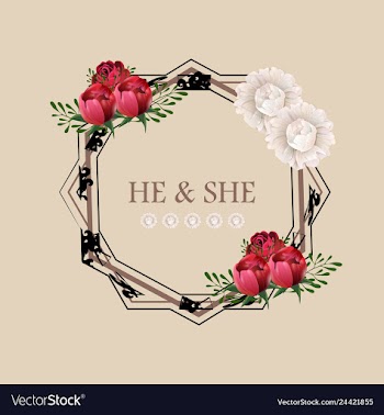 Peony rose ranunculus pink flowers and decorative vector image