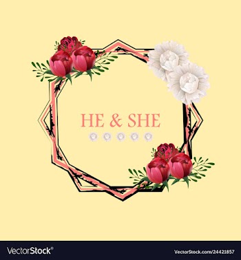Peony rose ranunculus pink flowers and decorative vector image