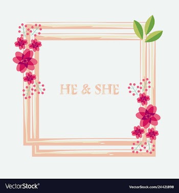 Peony rose ranunculus pink flowers and decorative vector image