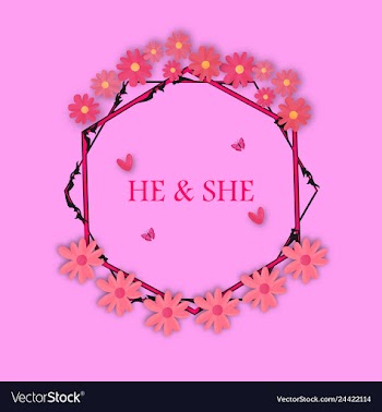 Peony rose ranunculus pink flowers and decorative vector image