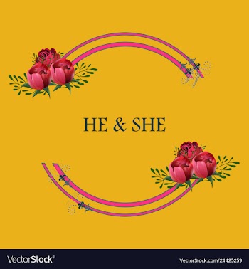 Peony rose ranunculus pink flowers and decorative vector image