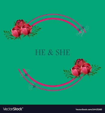 Peony rose ranunculus pink flowers and decorative vector image