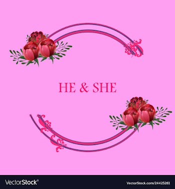 Peony rose ranunculus pink flowers and decorative vector image