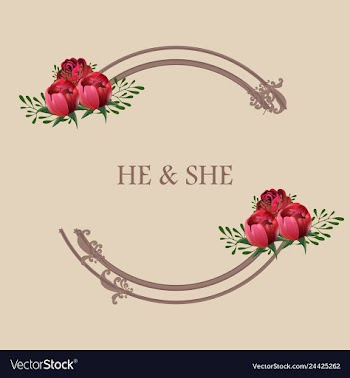 Peony rose ranunculus pink flowers and decorative vector image