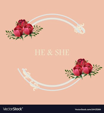 Peony rose ranunculus pink flowers and decorative vector image