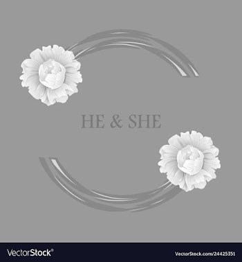 Peony rose ranunculus pink flowers and decorative vector image