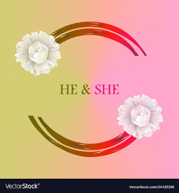 Peony rose ranunculus pink flowers and decorative vector image