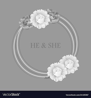 Peony rose ranunculus pink flowers and decorative vector image