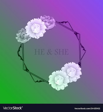 Peony rose ranunculus pink flowers and decorative vector image