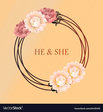 Peony rose ranunculus pink flowers and decorative vector image