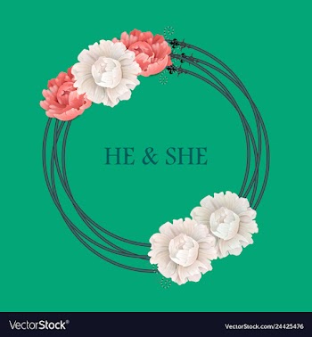 Peony rose ranunculus pink flowers and decorative vector image