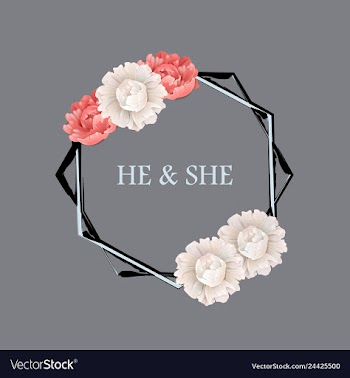 Peony rose ranunculus pink flowers and decorative vector image