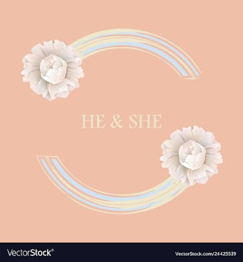 Peony rose ranunculus pink flowers and decorative vector image