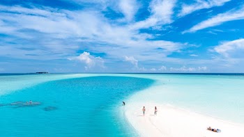 People at a Beach