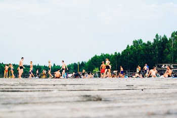 People at Beach Near Trees