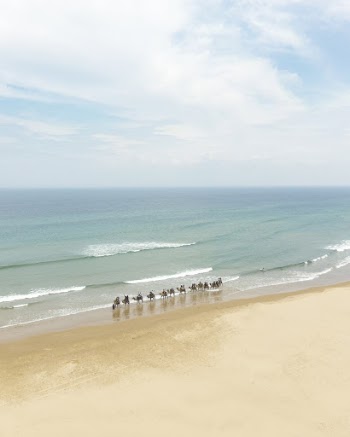 People At The Beach