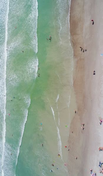 people at the beach during daytime aerial photography