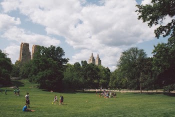 People at the Park Near High-rise Buildings