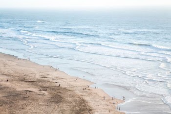 people by the beach during daytime