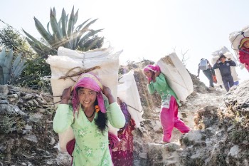 people carrying Lokta bark paper | Free Photo - rawpixel